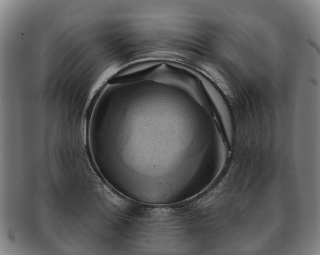 X0000091911180200709121512