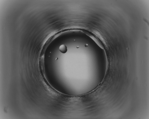 X0000091911181200709121512