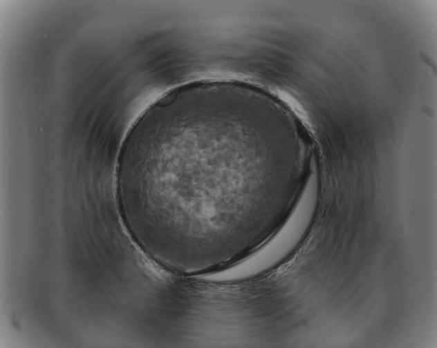 X0000091911183200709121511