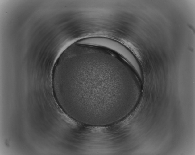 X0000091911184200709121511