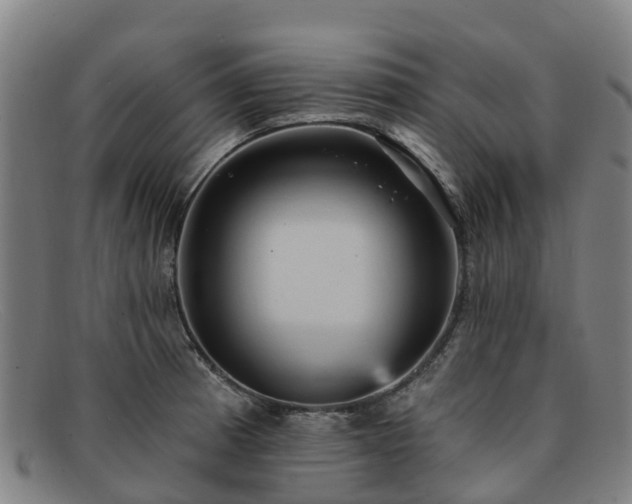 X0000091911185200709121511