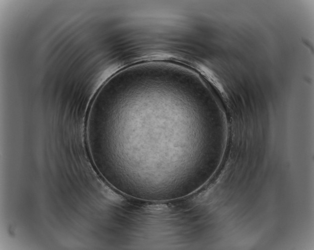 X0000091911186200709121511