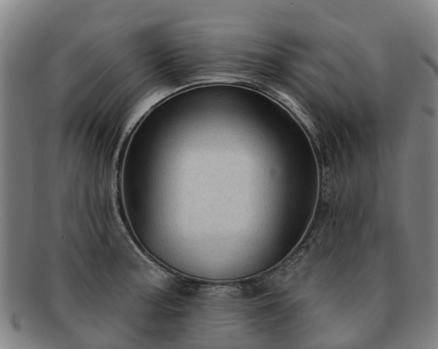 X0000091911187200709121511