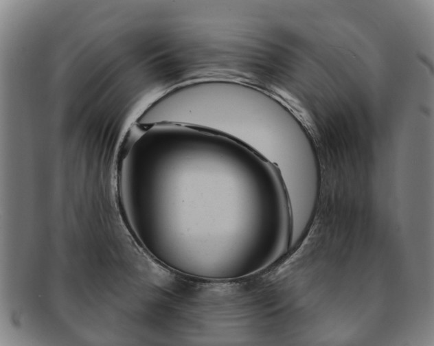 X0000091911188200709121511