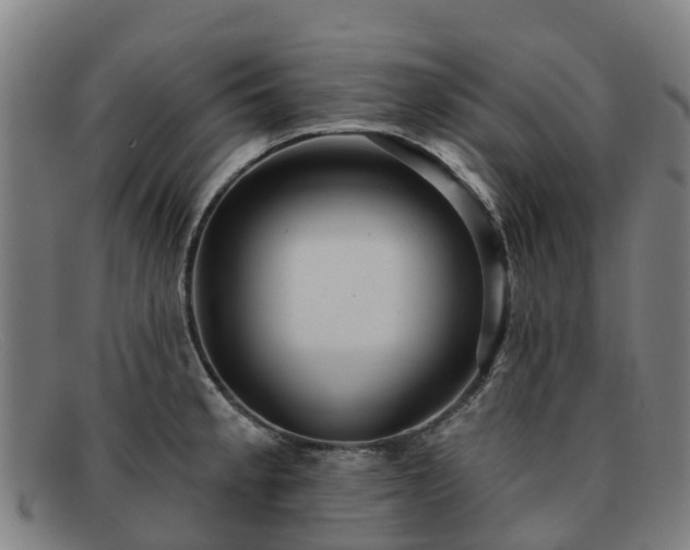 X0000091911189200709121511