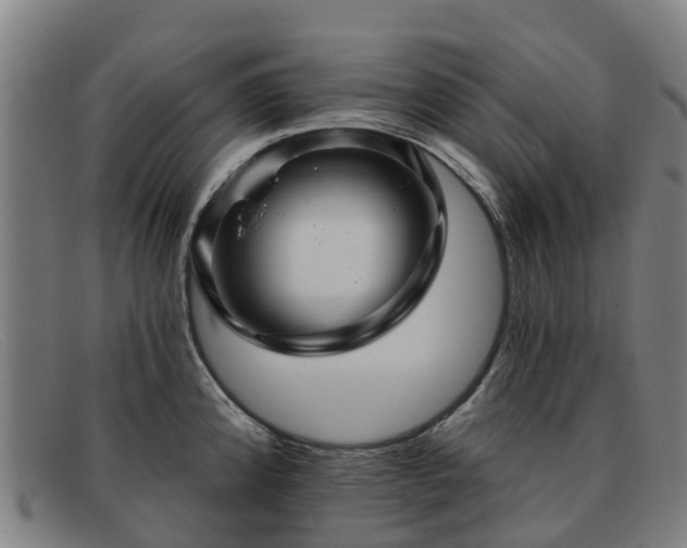 X0000091911192200709121511