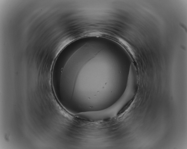 X0000091911194200709121511