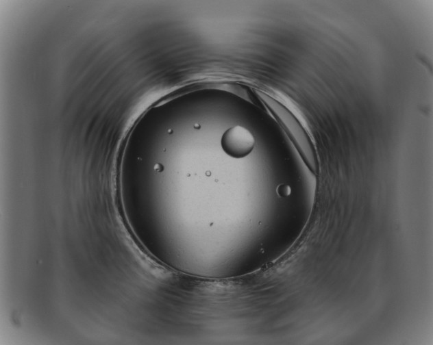 X0000091911195200709121511