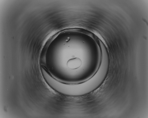 X0000091911197200709121511