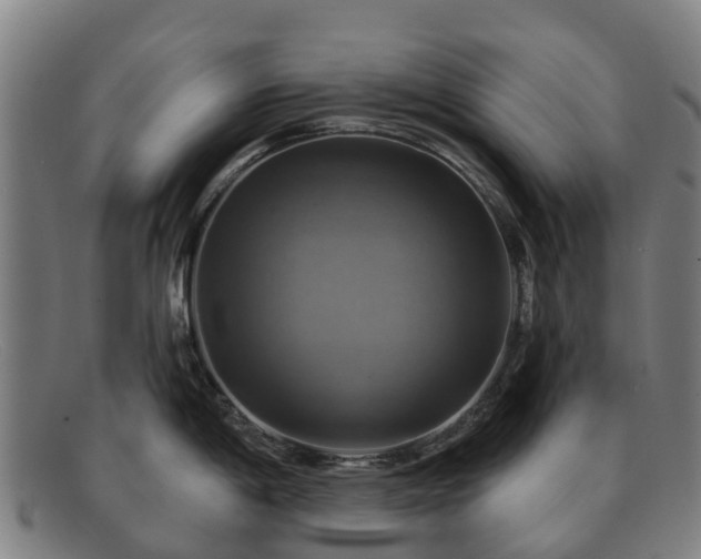 X0000091911198200709121511