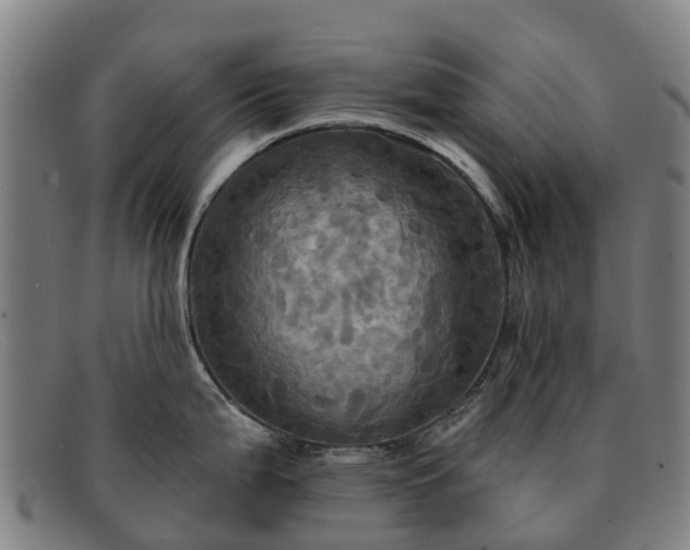 X0000091911199200709121511