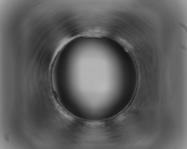 X0000091911200200709121511