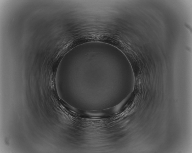 X0000091911202200709121511