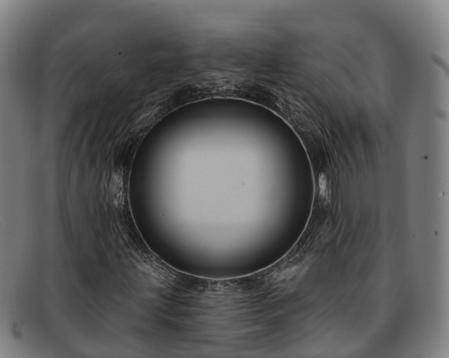 X0000091911203200709121511