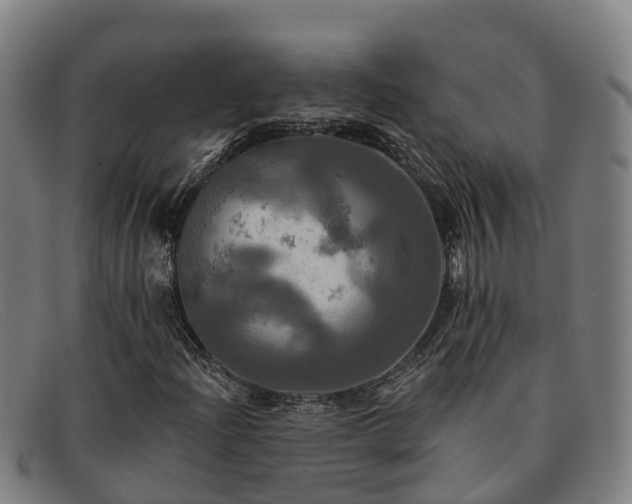 X0000091911204200709121511