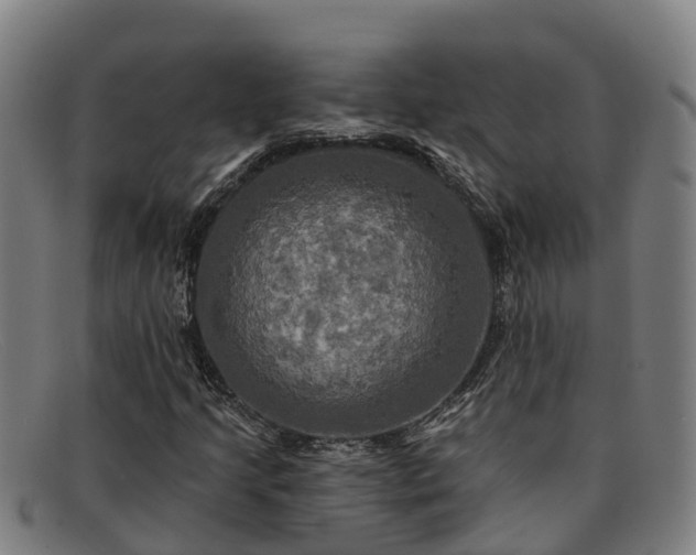 X0000091911205200709121511