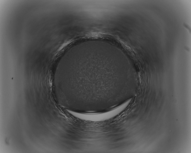 X0000091911206200709121511