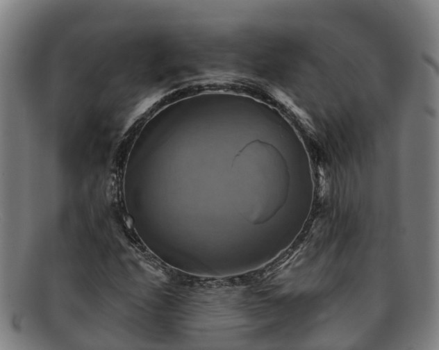 X0000091911208200709121511