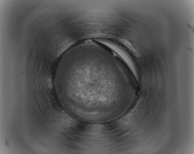 X0000091911209200709121511