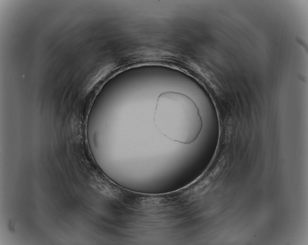 X0000091911211200709121511