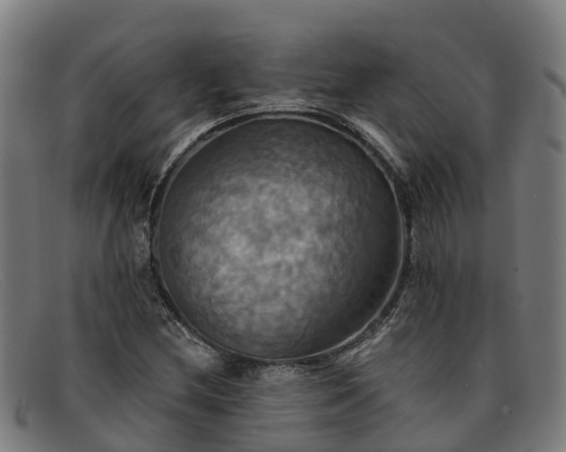 X0000091911212200709121511