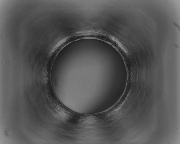 X0000091911213200709121511