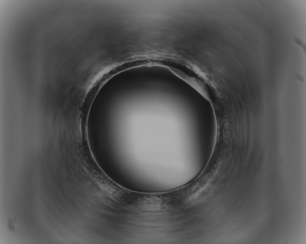 X0000091911214200709121511