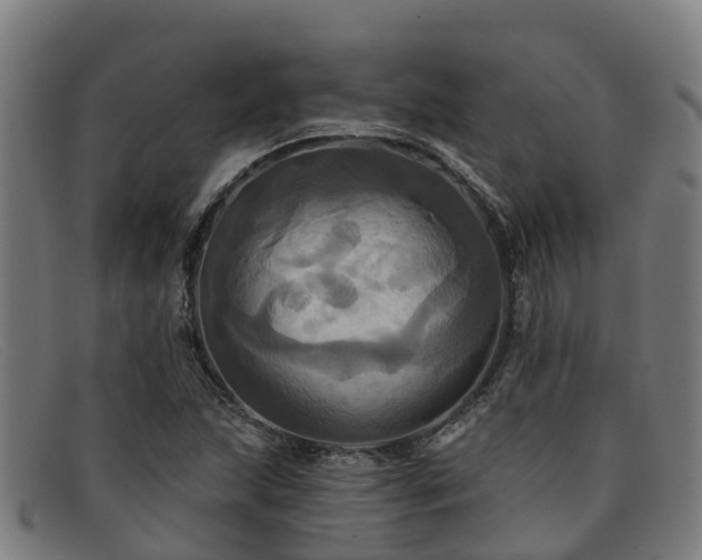 X0000091911215200709121511