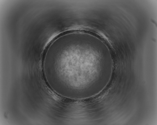 X0000091911216200709121511