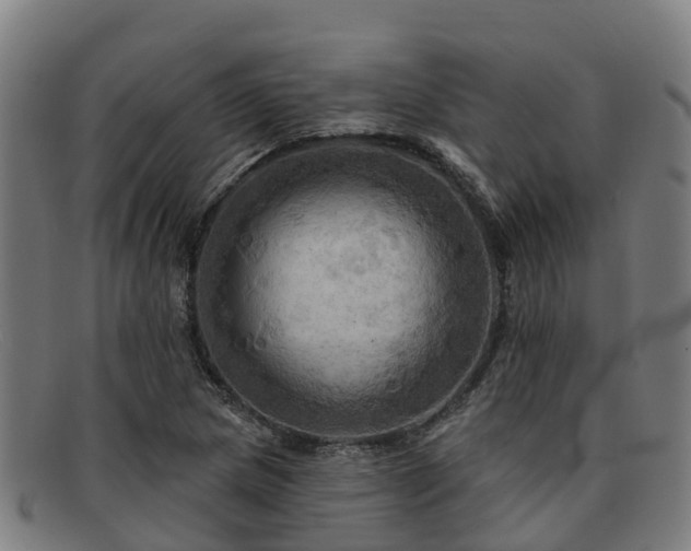 X0000091911217200709121511