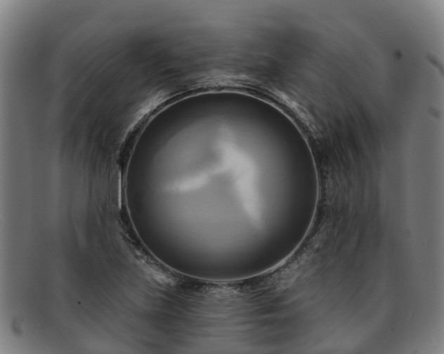 X0000091911219200709121511