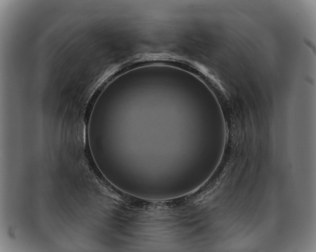 X0000091911221200709121511