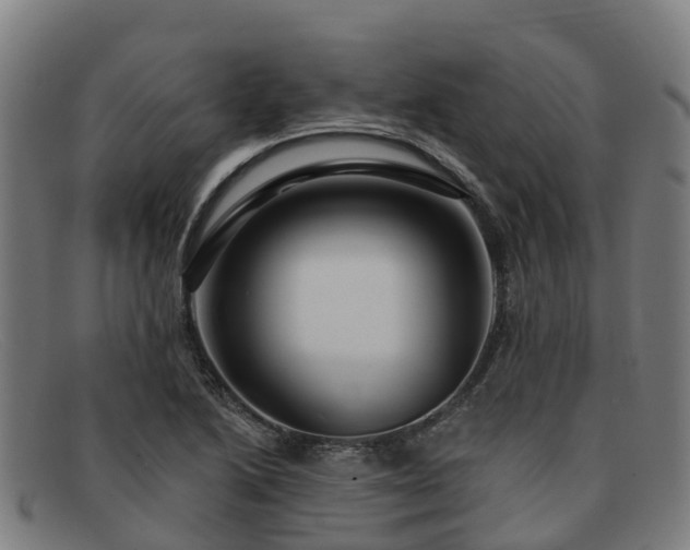 X0000091911222200709121511