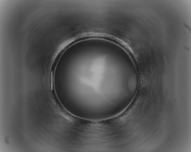 X0000091911223200709121511