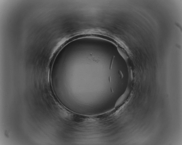 X0000091911224200709121511