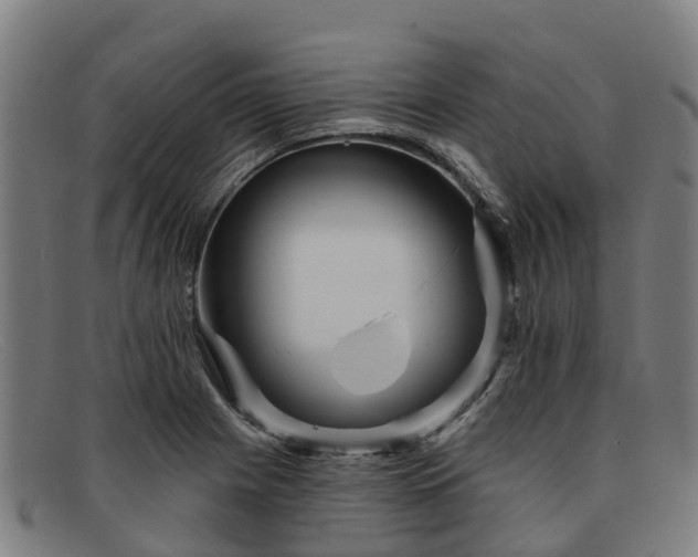 X0000091911225200709121511