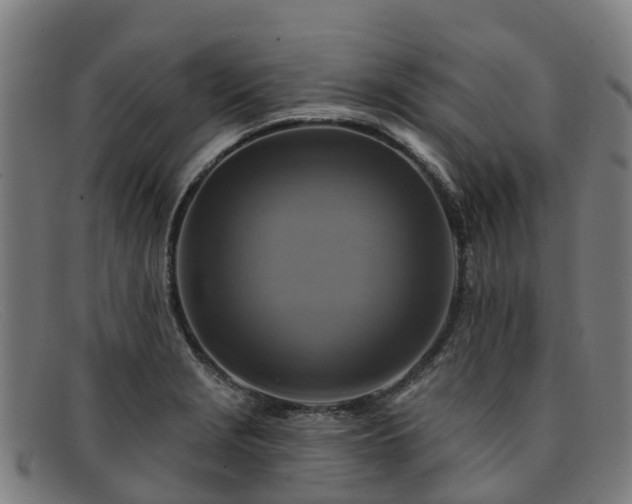 X0000091911229200709121511