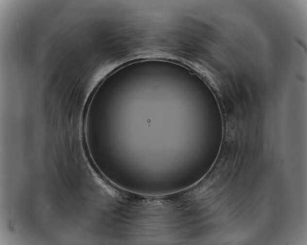 X0000091911231200709121511