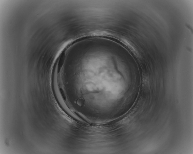 X0000091911232200709121511