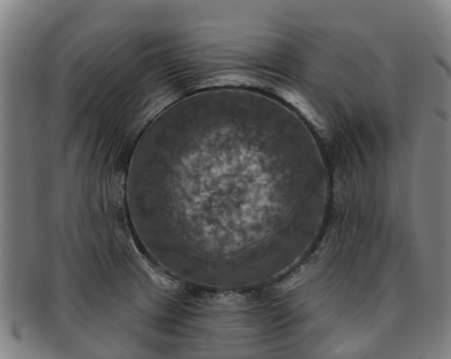 X0000091911233200709121511