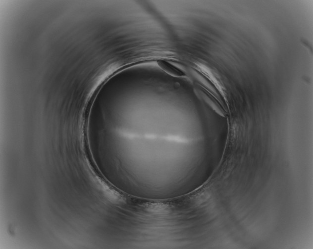 X0000091911235200709121511