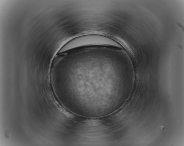 X0000091911236200709121511