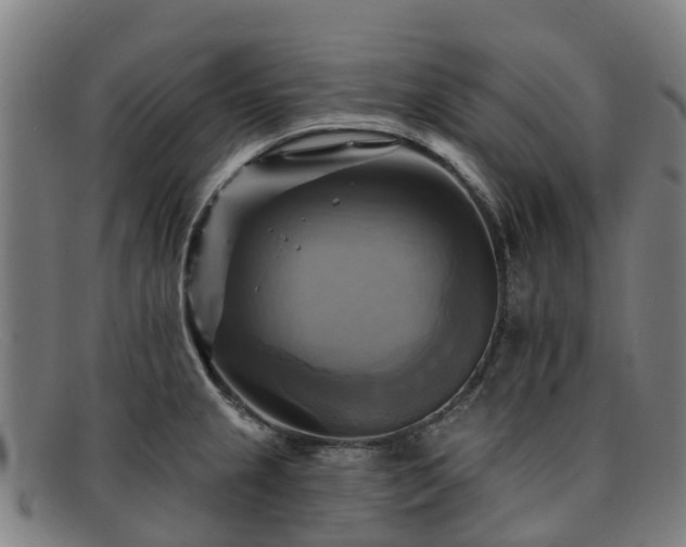 X0000091911237200709121511