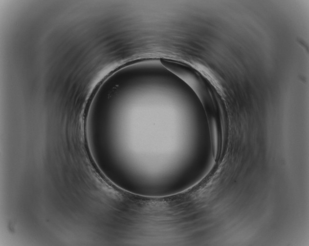 X0000091911238200709121511