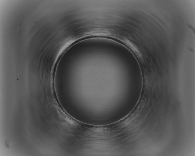 X0000091911240200709121511