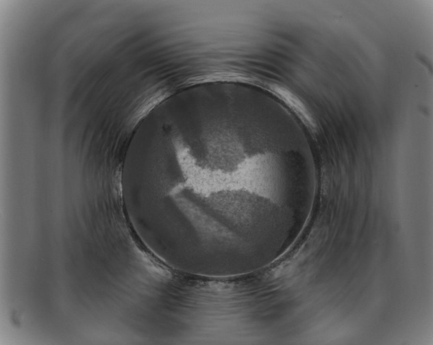 X0000091911241200709121511