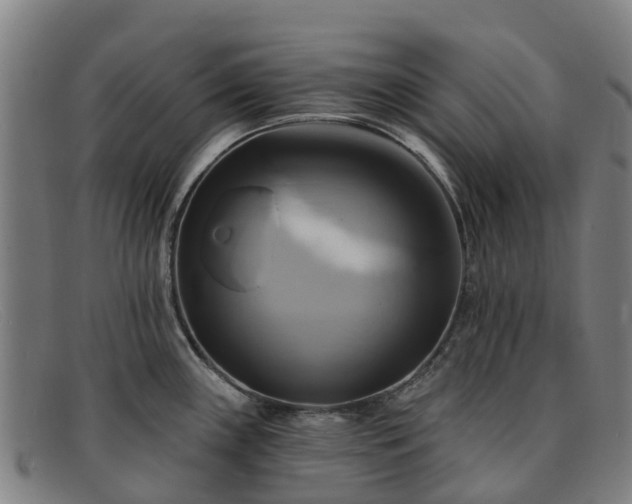 X0000091911243200709121511