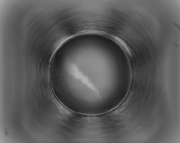 X0000091911244200709121511