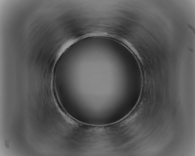 X0000091911245200709121511