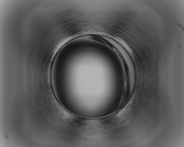 X0000091911246200709121511